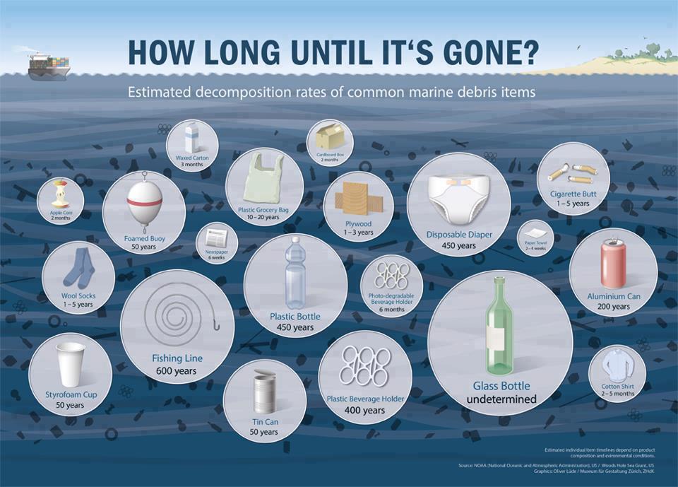 Marine-Debris-Decomp-timing