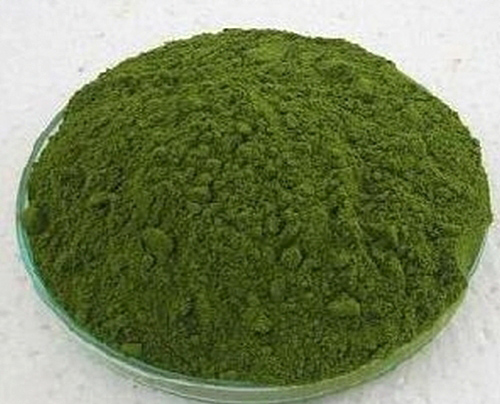 moringa-oleifera-facts-moringa-powder