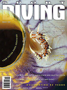 Sport Diving February March 2012