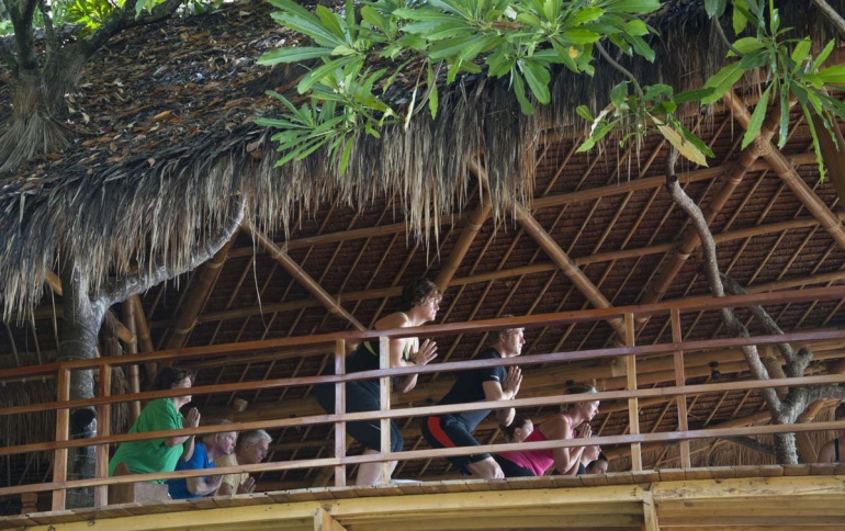 Yoga in the Atmosphere Tree House