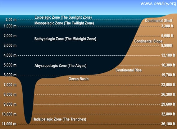 Deep Sea Diagram