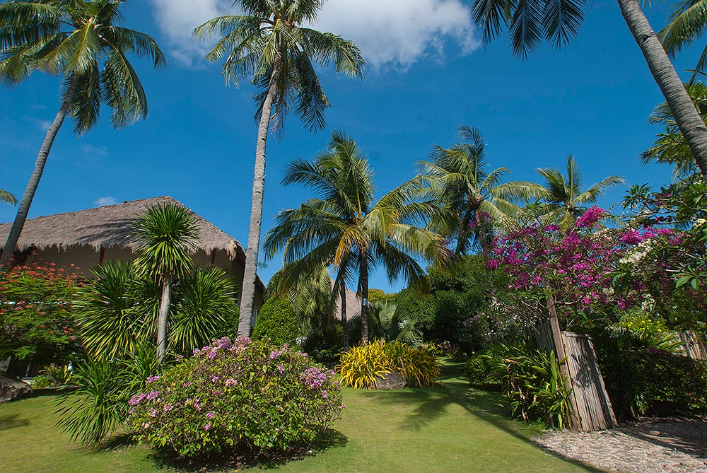 The Secrets of Tropical Gardening