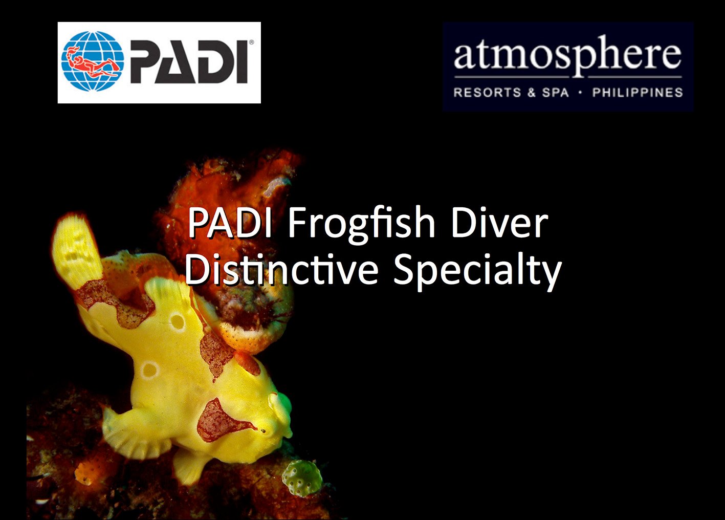 PADI Frogfish Specialist distinctive course at Atmosphere Resort Philippines