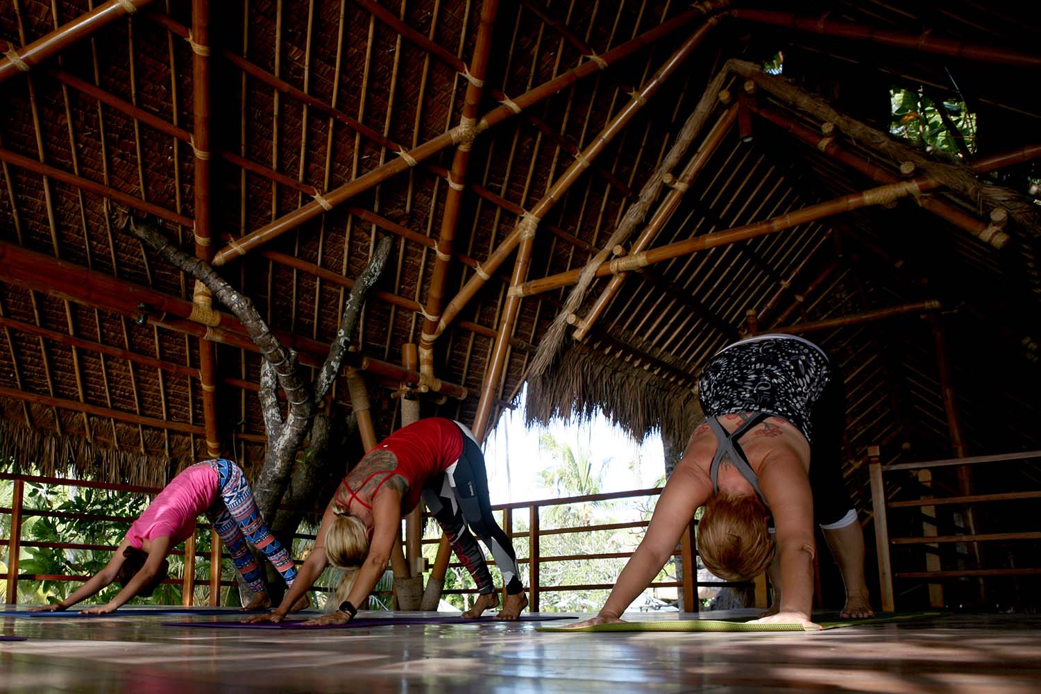 A yoga class with Kino MacGregor's husband Tim feldmann at the Atmosphere Resort tree house in the Philippines
