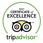 Trip Advisor Certificate of Excellence Award