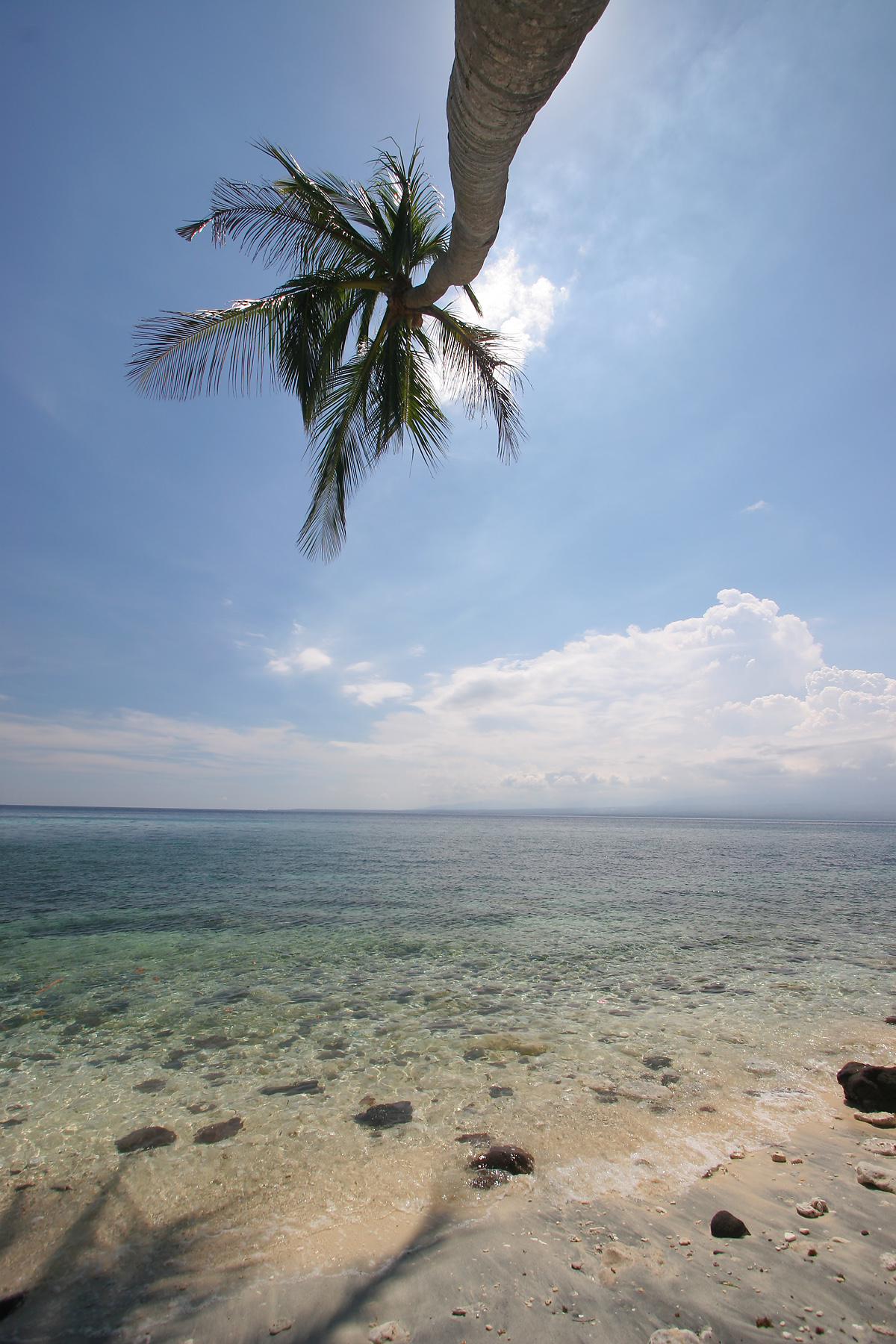 Apo Island beach - Atmosphere Resorts