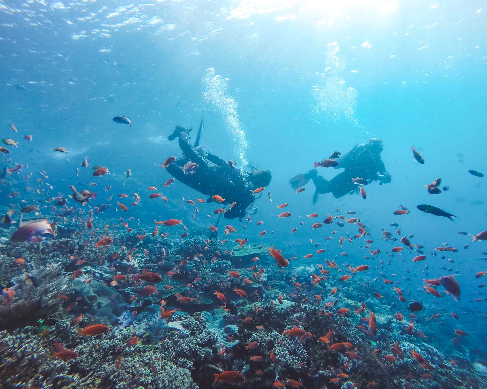 Reiss Bush marine biologist at atmosphere, diving on a reef