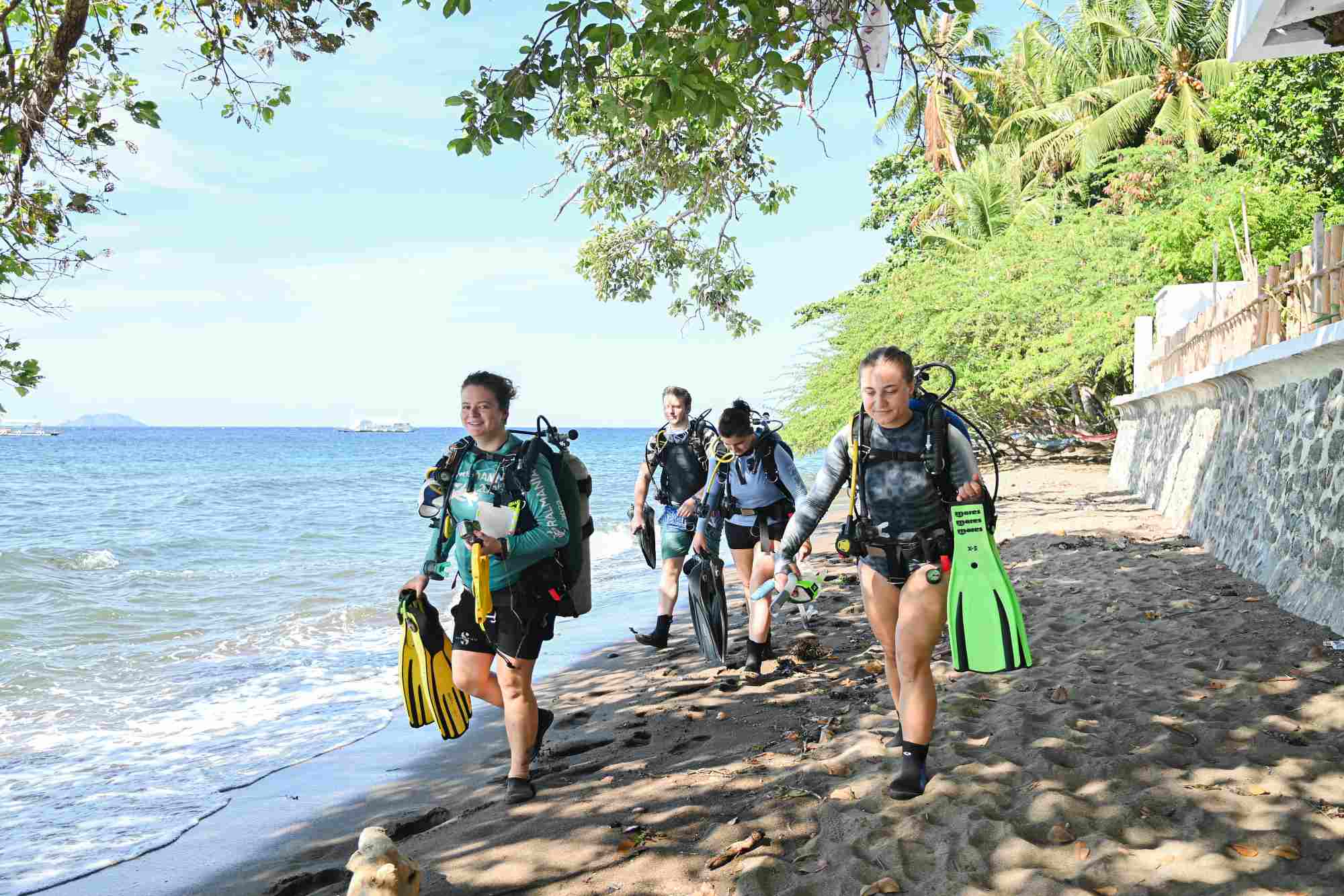 A group of divers walking along the beach