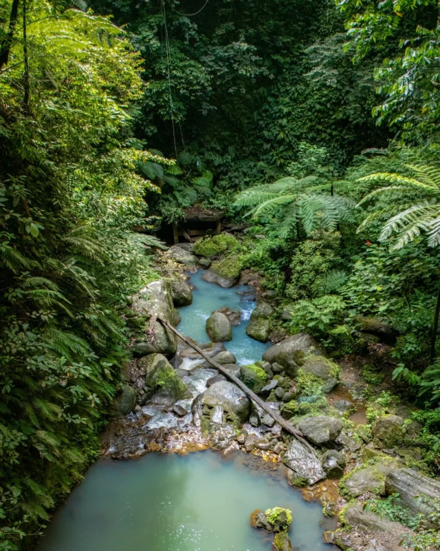 A visit to Casaroro Falls is like stepping in to a fairy tale. No wonder it's one of the top attractions on our beautiful island! 

This 40-metre waterfall plunges into a refreshing pool of cool water, creating a misty, green oasis surrounded by steep rock walls. To reach the falls, enjoy a scenic hike through rainforest and along a flowing river - just be prepared to get your feet wet!

Expect a bit of a workout, as there are around 300 steps to descend to the riverbed. But don’t worry, you can cool off with a quick swim in the cool mountain water before making your way back up.

For more information about our local excursions, please get in touch. We reply on Messenger, but you can also contact us by phone, WhatsApp, or Viber at:

📱 09177221042 (Globe)
📱 09177002048 (Globe)
📱 09091830364 (Smart)
📧 enquiries@atmosphereresorts.com

Photos by Anita Verde and Peter Marshall @summitstoseas 

#dumaguetetourism #philippinestravel #luxuryresort #casarorofalls #philippinesresort