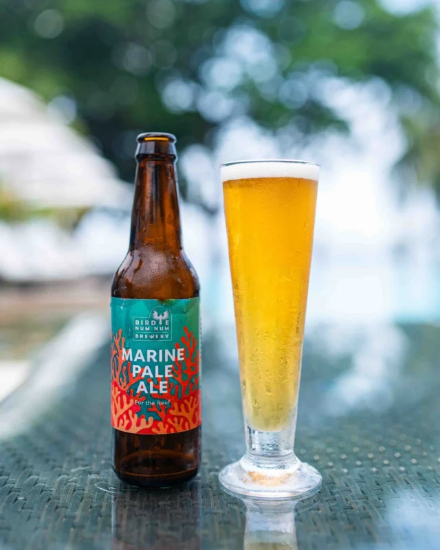Helping the reef while drinking beer? It may sound too good to be true, but it's possible at Atmosphere!

We're now serving the exclusive Marine Pale Ale (MPA), a collaboration between @institute.marineresearch and local brewery @birdie_num_num_brewery. Aside from its unmistakably refreshing taste, 10% of profits go directly towards reef conservation efforts in Dauin.

If you needed a reason to enjoy an ice-cold beer after a day of diving, we can't think of a better one than this.

#craftbeer #marineconservation #scubadivingphilippines #drinkwithpurpose #sustainabletravel