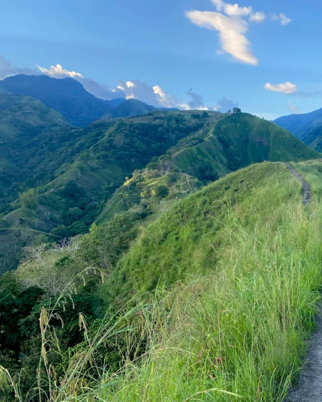 If you’d like to explore our beautiful island but don’t want to commit to a full-day hike, Najandig Peak is a perfect option.

After a scenic 45-minute drive from the resort, guests set off on a moderate, beginner- and family-friendly hike of around an hour through peaceful countryside and rolling landscapes. The effort is well rewarded at the summit, where spectacular 360-degree views stretch across mountain ridges, valleys, and the coastline below.

Ideal for nature lovers, photographers, and active travellers, the Najandig Peak hike is a refreshing escape into the highlands of Negros Oriental. Early morning and late afternoon departures offer cooler temperatures and some of the most beautiful light of the day (perfect for photography!).

If you’re looking for something more demanding, we also offer longer and more challenging hiking options. More on those soon!

#najandigpeak #negroriental #philippinestravel #hikingphilippines